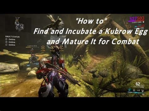 mature for combat warframe.